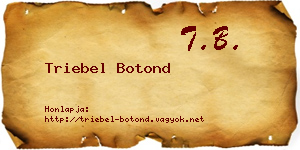 Triebel Botond névjegykártya